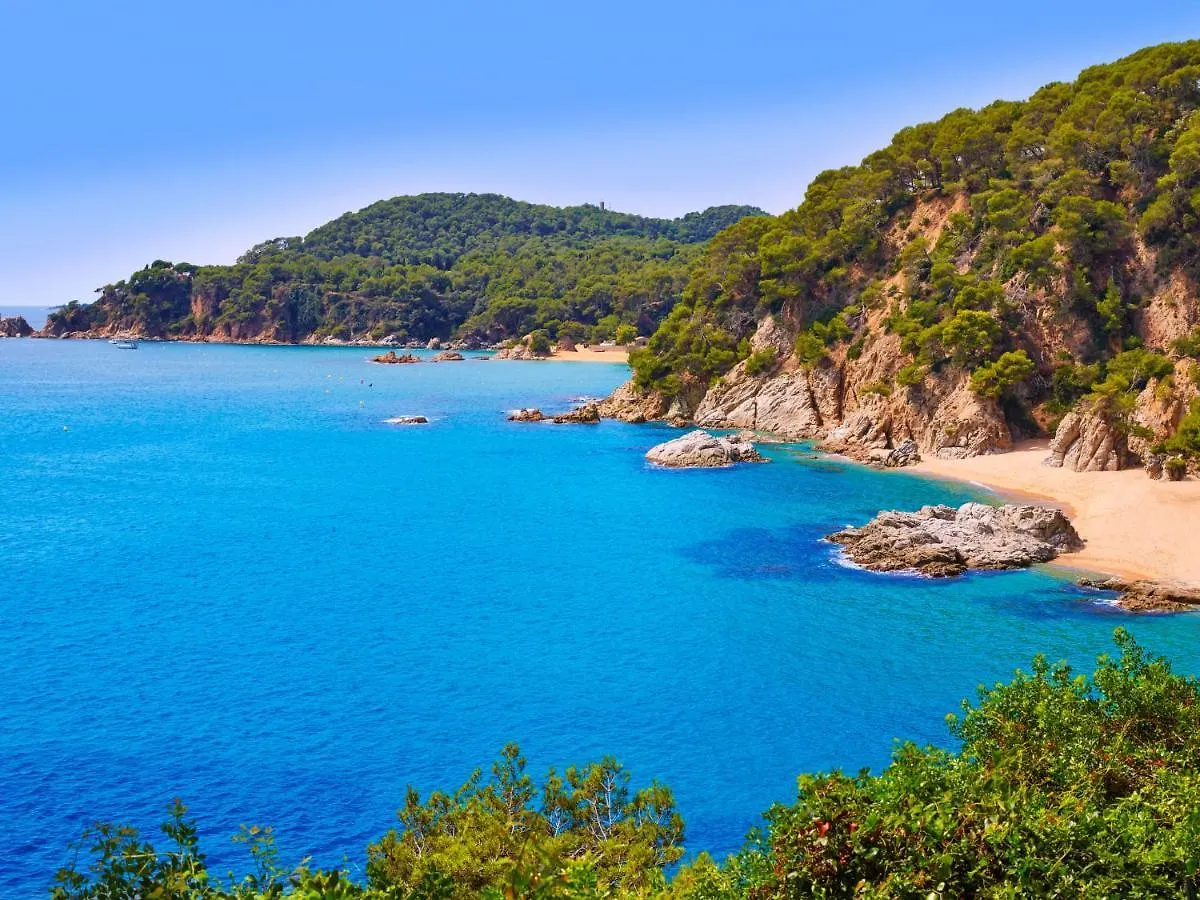 Apartment Es Freus By Interhome Lloret de Mar